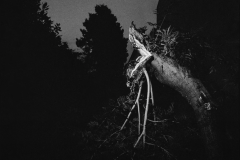 Schermata-2022-05-30-alle-14.56.18-copia